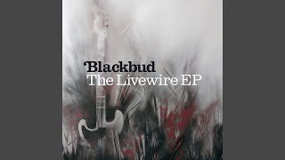 Watch Blackbud Lost In Time video