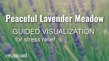 PEACEFUL LAVENDER MEADOW Guided Visualization for Stress Relief (reupload) *old video from 2014*
