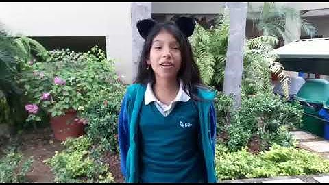 Video-Tutorial: Como Calcular el área de los polígonos regulares