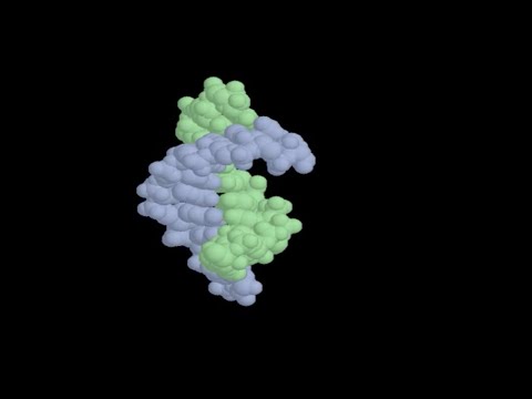 Movie 07.1 RNA Structure