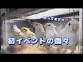 釧路のイベントに連れて行くよ！