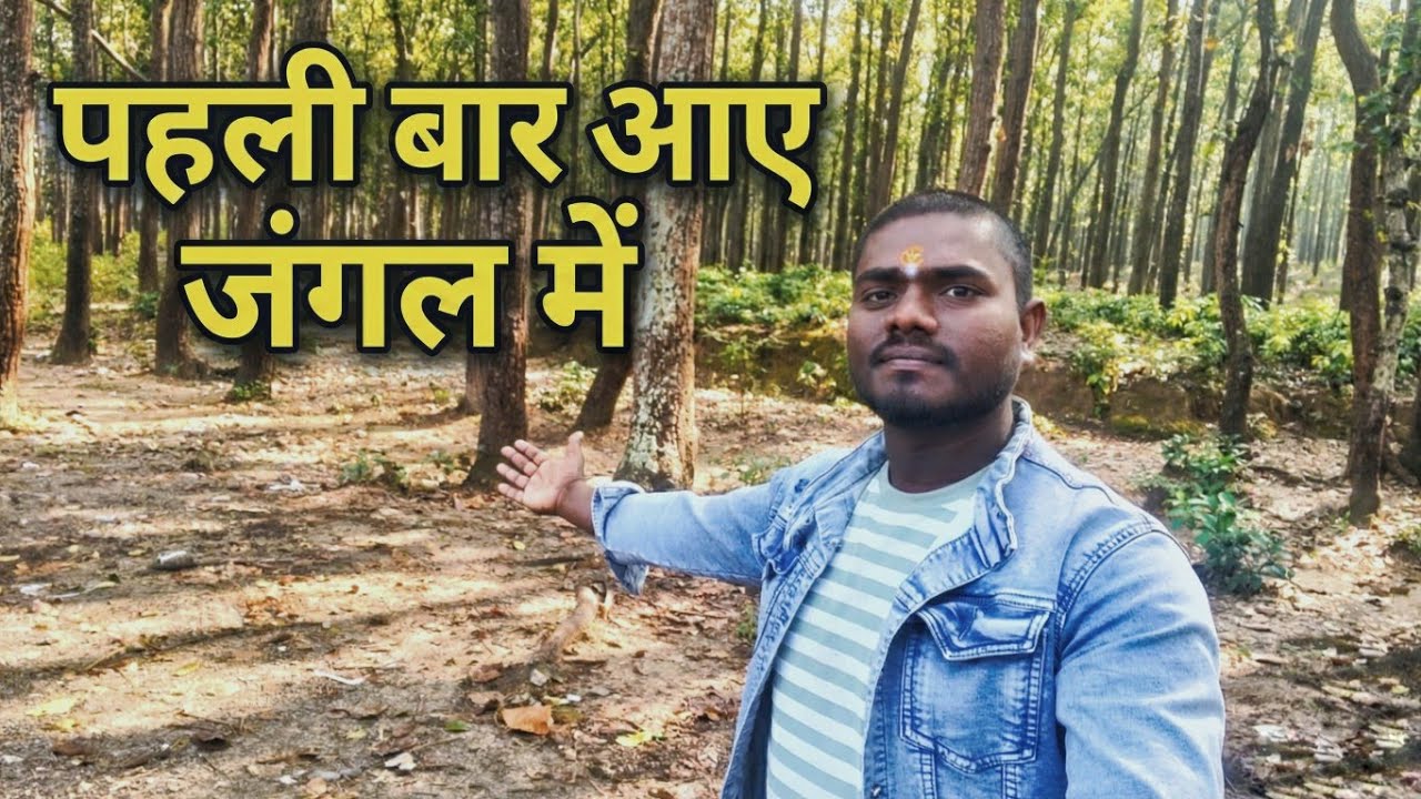 Pahli bar aae jungle me / Daily family vlog video / Chhotu Amritesh vlog video 
