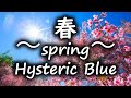 【1時間】春~spring~ Hysteric Blue loop