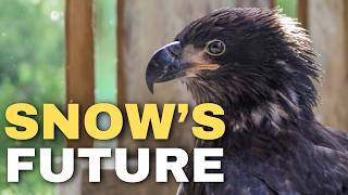 Will Snow Ever Go Home? I Asked Her Care Team Directly