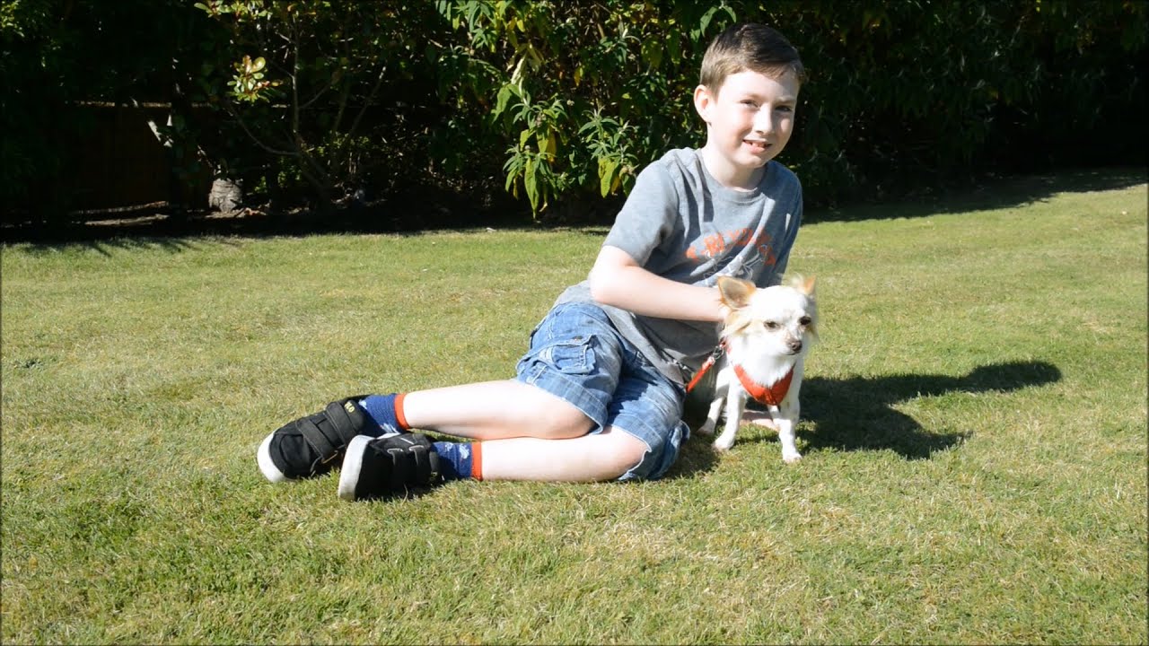 Disabled boy and lame dog help each other learn how to walk YouTube