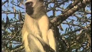 Animal Action Education-Under One Sky why Animals Matter