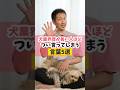 犬業界長いとつい言ってしまう言葉5つ#犬のいる暮らし #dog #shorts
