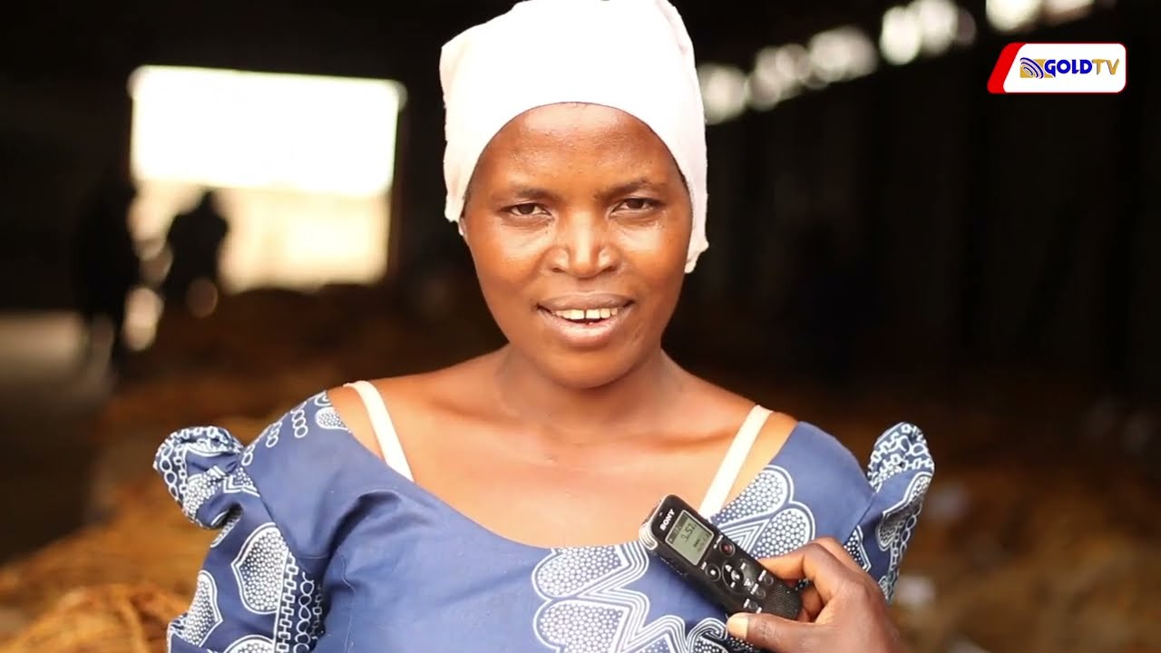 WAKULIMA WA TUMBAKU KAHAMA WAIFURAHI KAMPUNI MPYA | WAISHUKURU WIZARA YA KILIMO