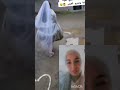 فاش كتكون عروسة واكلا خنشوش شفو تمرميدة تموت متنسيهاش mp3