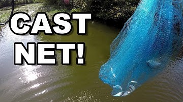 Catching Live Bait With A Cast Net - The Cast Net I Use