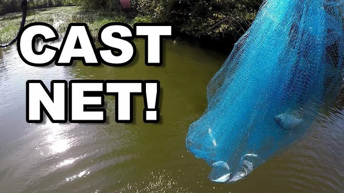 Catch Live Bait With A Cast Net 