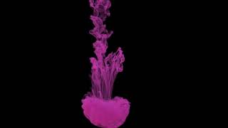 Ink and Smoke Simulation