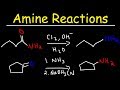 Amine Synthesis Reactions