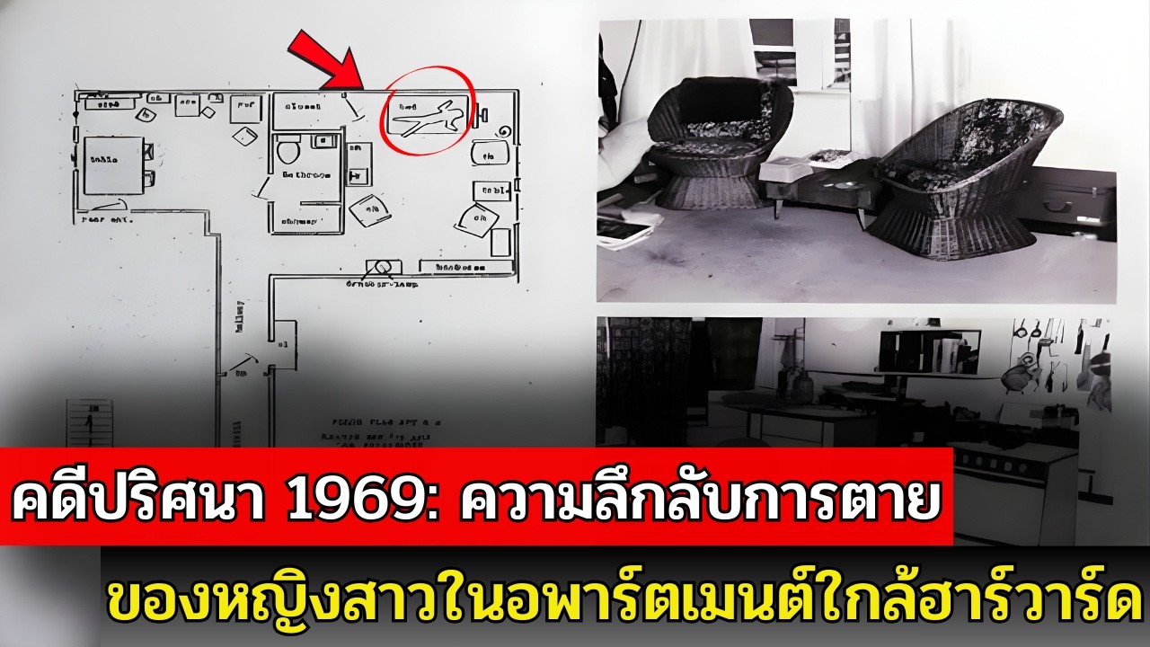 คดีดังฮาร์วาร์ด: คดี Jane Britton และปริศนาสุดสยองตลอด 50 ปี