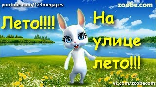 Zoobe Зайка Лето, на улице Лето! Zoobe Зайка Лето, на улице Лето!