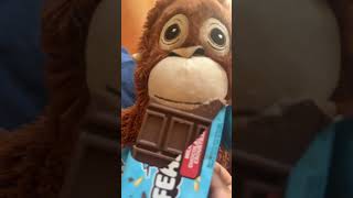 Monkey Got Hungryyyyy