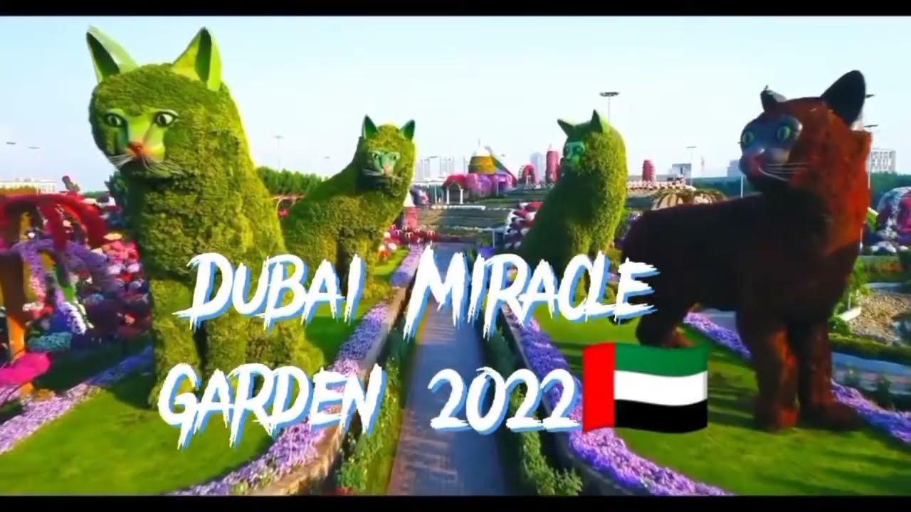 dubai miracle garden – a floral wonderland in the desert qjabk1_pwai