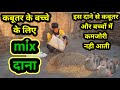 Kabutar ke bache ke liye mix dana