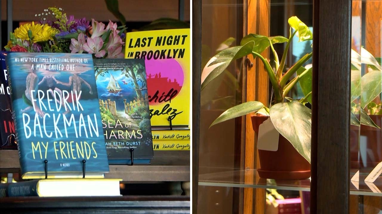 Thumbnail for In Business: 'Books & Botanicals' in Brainerd Wants Visitors To Grow | Lakeland News