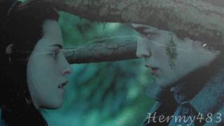 Bella&Edward - Hermione&Ron | Everything