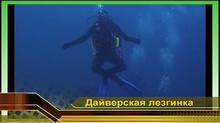 Дайверская лезгинка видео. Приколы про дайверов. Мир дайвинга и отдых на Мальдивах(Видео про подводный #Дайвинг и #отдых на Мальдивах. #Приколы про дайверов. Дайверская #лезгинка. Дайверская..., 2009-12-19T14:21:46.000Z)