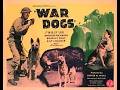 War Dogs (1942) Full Movie   -   ACE THE WONDER DOG