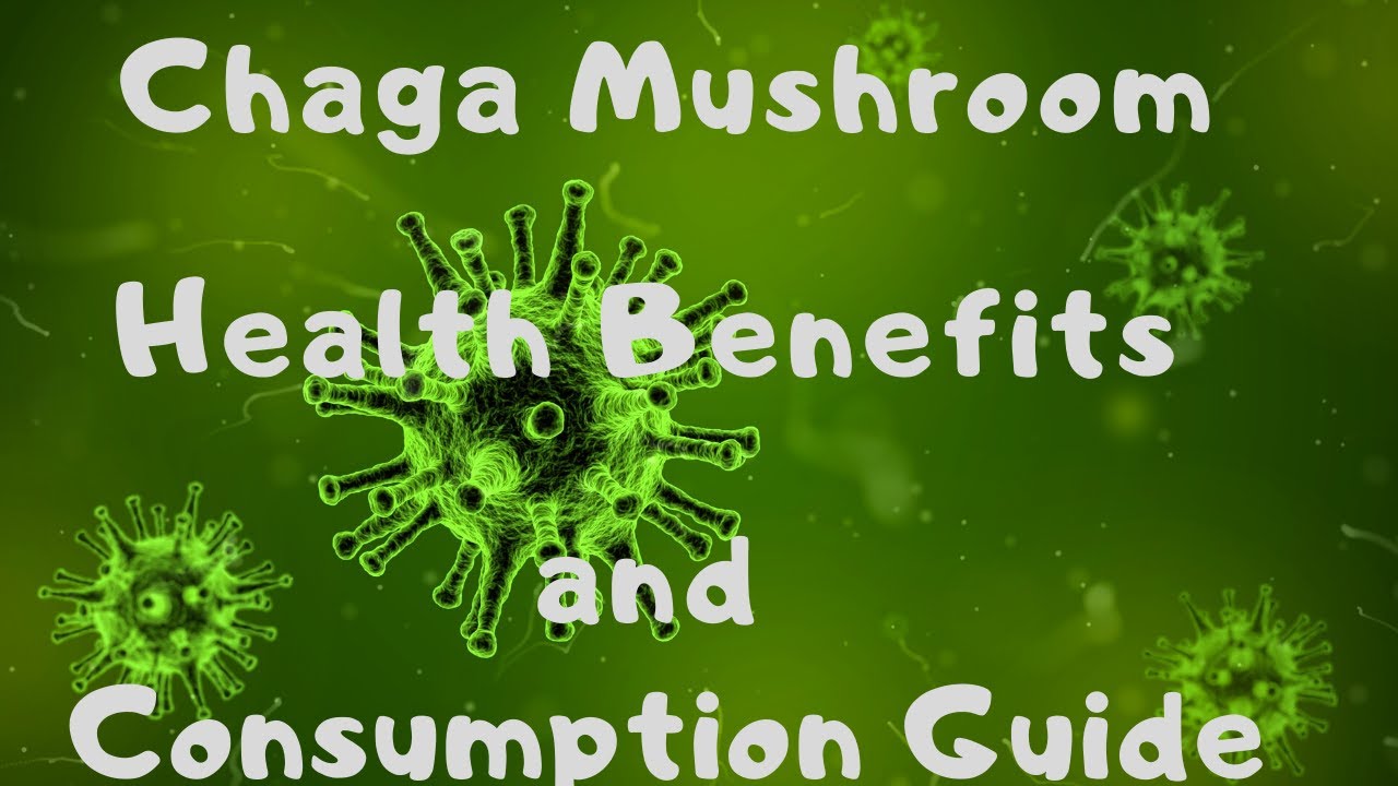 Chaga Mushroom Health Benefits and Consumption Guide YouTube