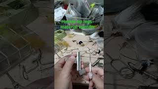 hackle tip legs- material clip transfer #shorts #flyfishing #flytying