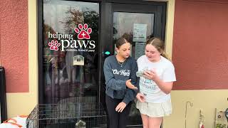 Helping paws animal sanctuary 🐱🐈🐈‍⬛