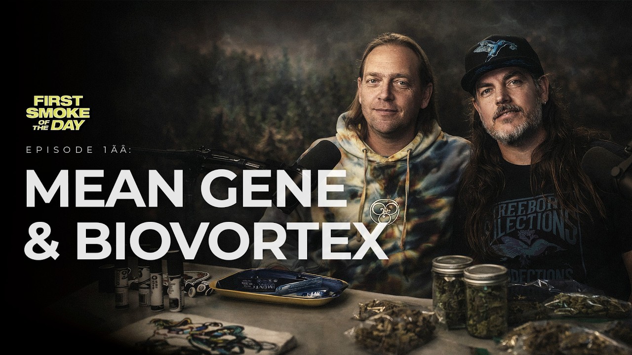 Mean Gene & Biovortex: The LIME Line, Real Breeding Takes Years. Infamous Terps