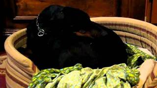 MVI_6027.AVI