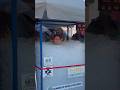 ðŸ¥¶ï¸ Longest full body contact with ice - 3 hours, 6 mins and 45 secs by Katarzyna Jakubowska ðŸ¥