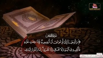 #سورة_القصص من الآية1_ 9#الشيخ المقرئ/عبدالناصر_خديش في#تلاوة_خاشعة استمع بقلبك#قرآن
