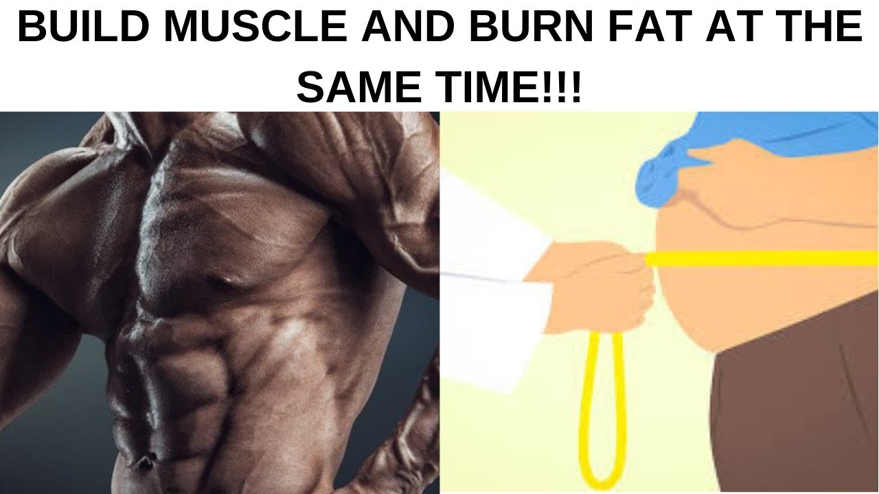 How To Lose Fat and Build Muscle At the Same Time - YouTube