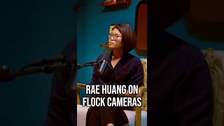Flock cameras in Los Angeles
