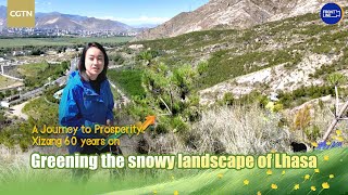 Greening Lhasa s snowy landscape A vision for ecological civilization