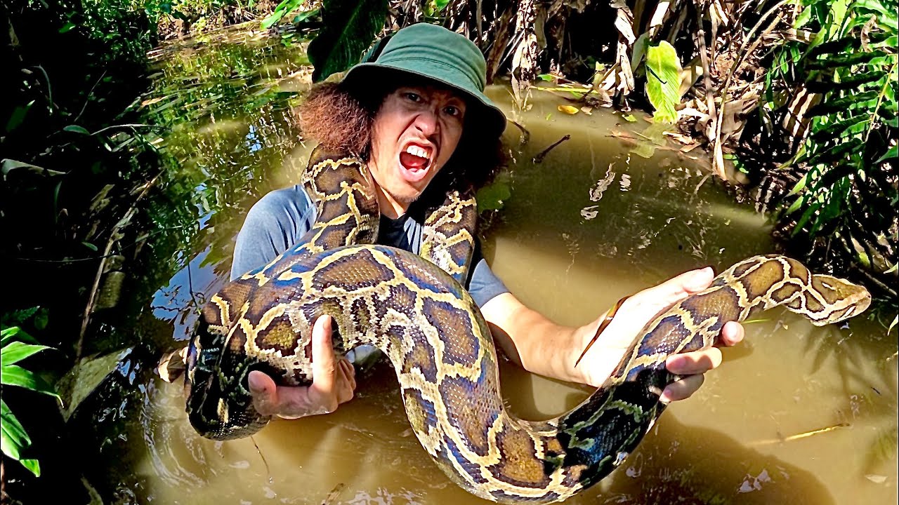 งูยักษ์ดุๆ ในป่า มันสวยจริงๆ ...!! [ โจโฉ ]