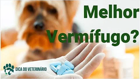 Como escolher vermífugo para cachorro?