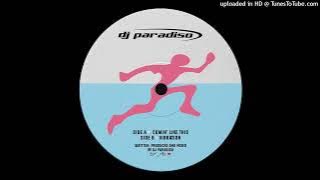 Dj Paradiso — Vibration
