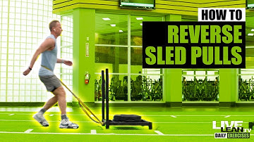 How To Do REVERSE SLED PULLS | Exercise Demonstration Video and Guide