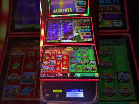 Net-F | 88 Fortunes slots | 1X1