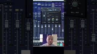 De-essing vocals is the best way to manage sibilance. #mixingmusic #musicproduction #audioengineer