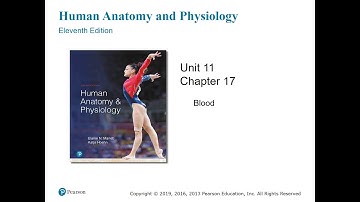 Anatomy and Physiology Chapter 17