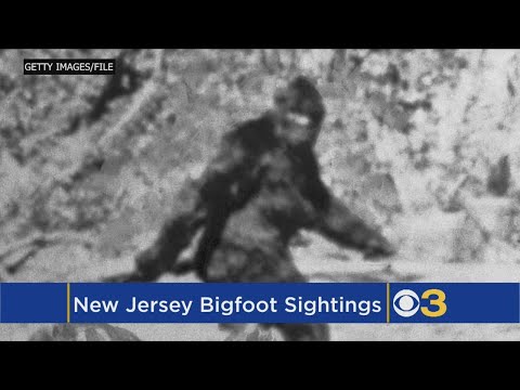 Bigfoot In New Jersey? Couple Joins Dozens To Report Seeing Creature