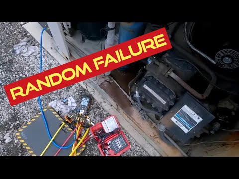 Warehouse Freezer Warm Random Oil Failure