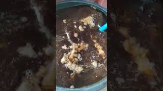 Trichoderma for our Hydroponics Incubation! #diy #farming101 #tutorial