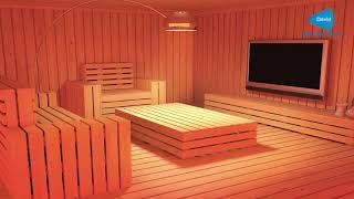 39 Classic Sauna Room.