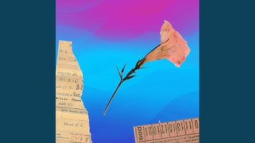 Amazing Backdrops for Modern Wednesday