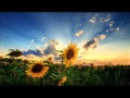 Hiroshi Watanabe - Days (Original Mix)