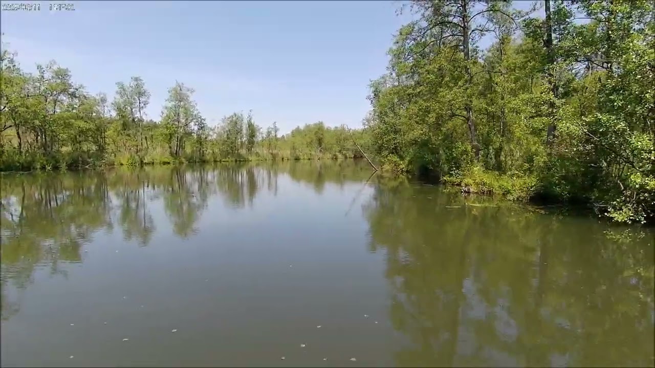 Rejs w dolinę Rospudy